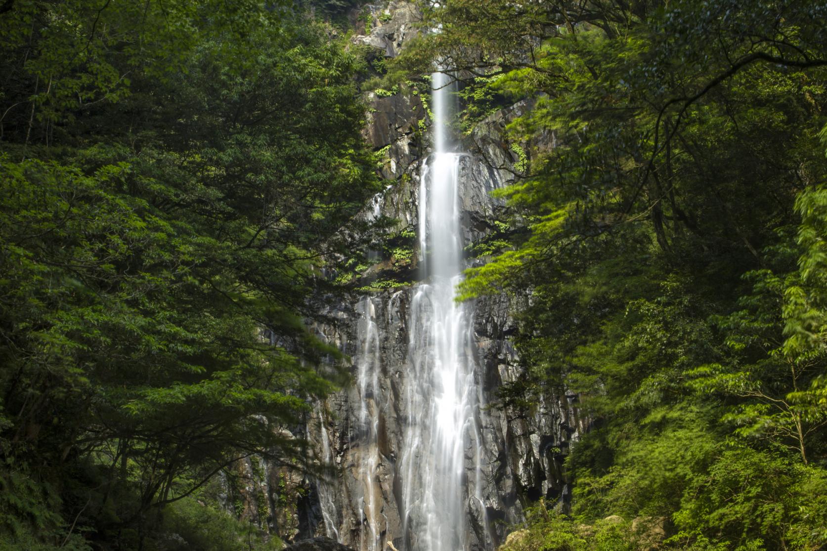 矢研の滝-1