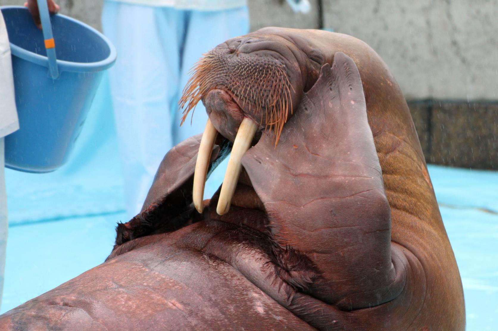  【1日目】大分マリーンパレス水族館「うみたまご」 