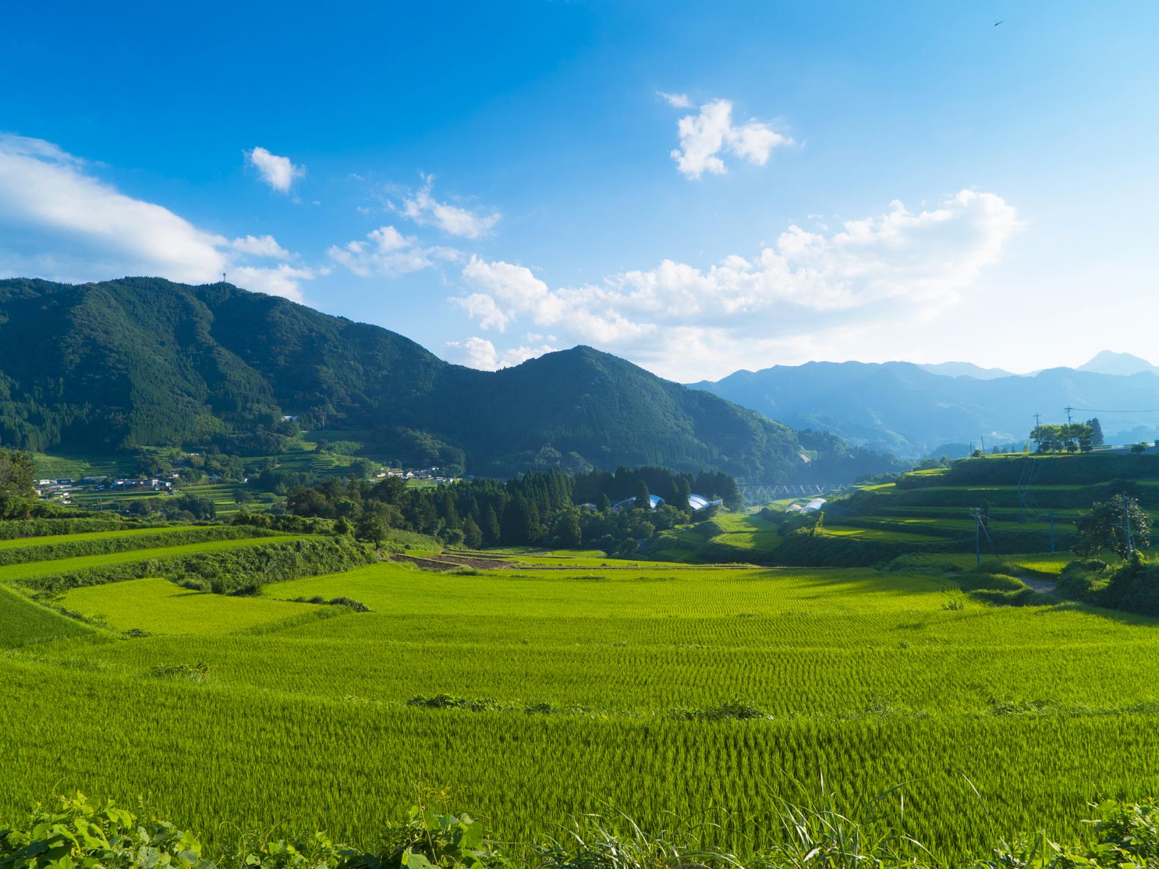  【1日目】栃又棚田 