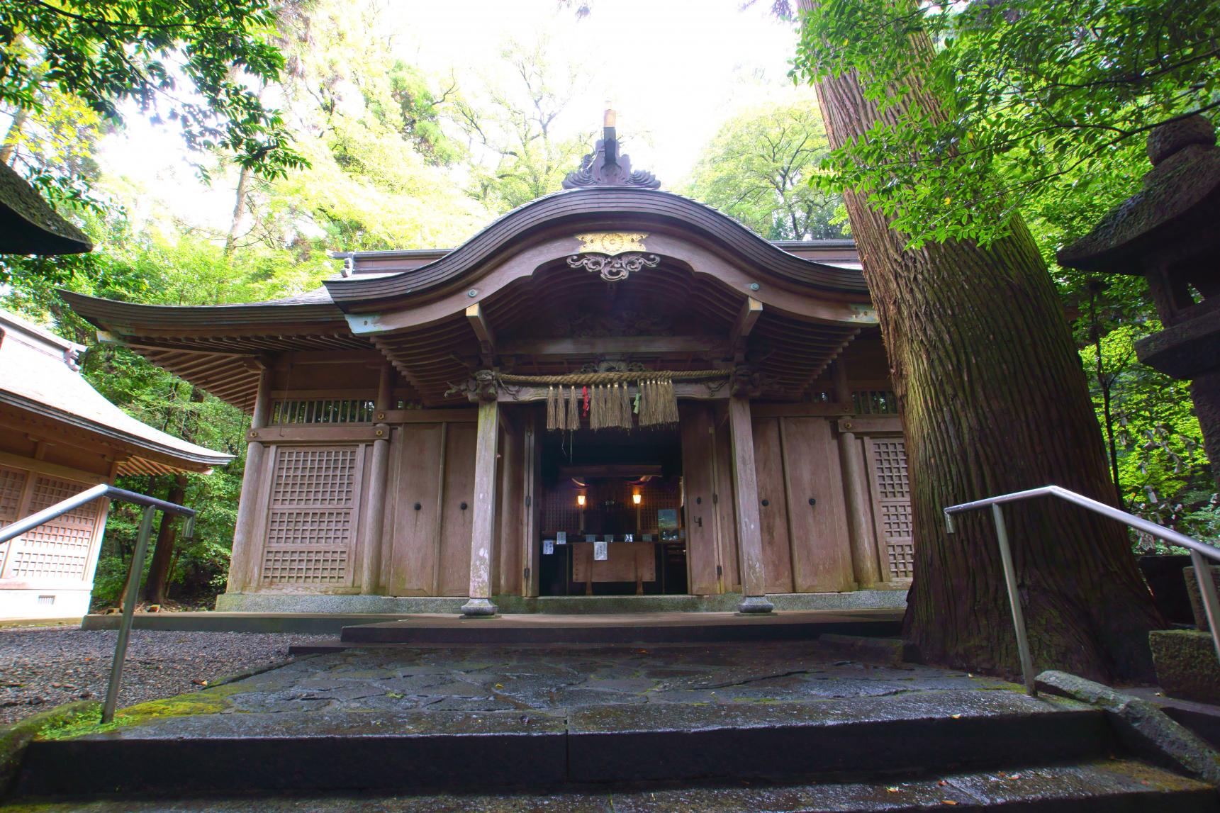  【1日目】槵觸神社 