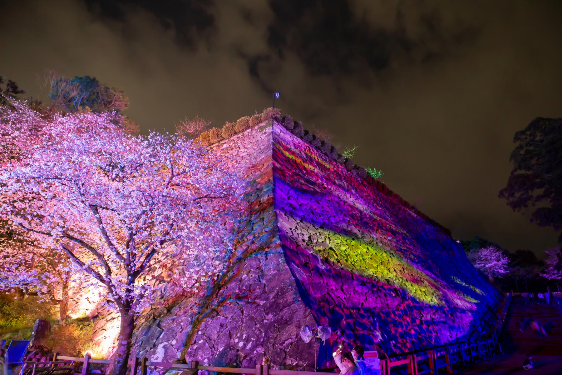 延岡城跡・城山公園の桜【延岡市】-1