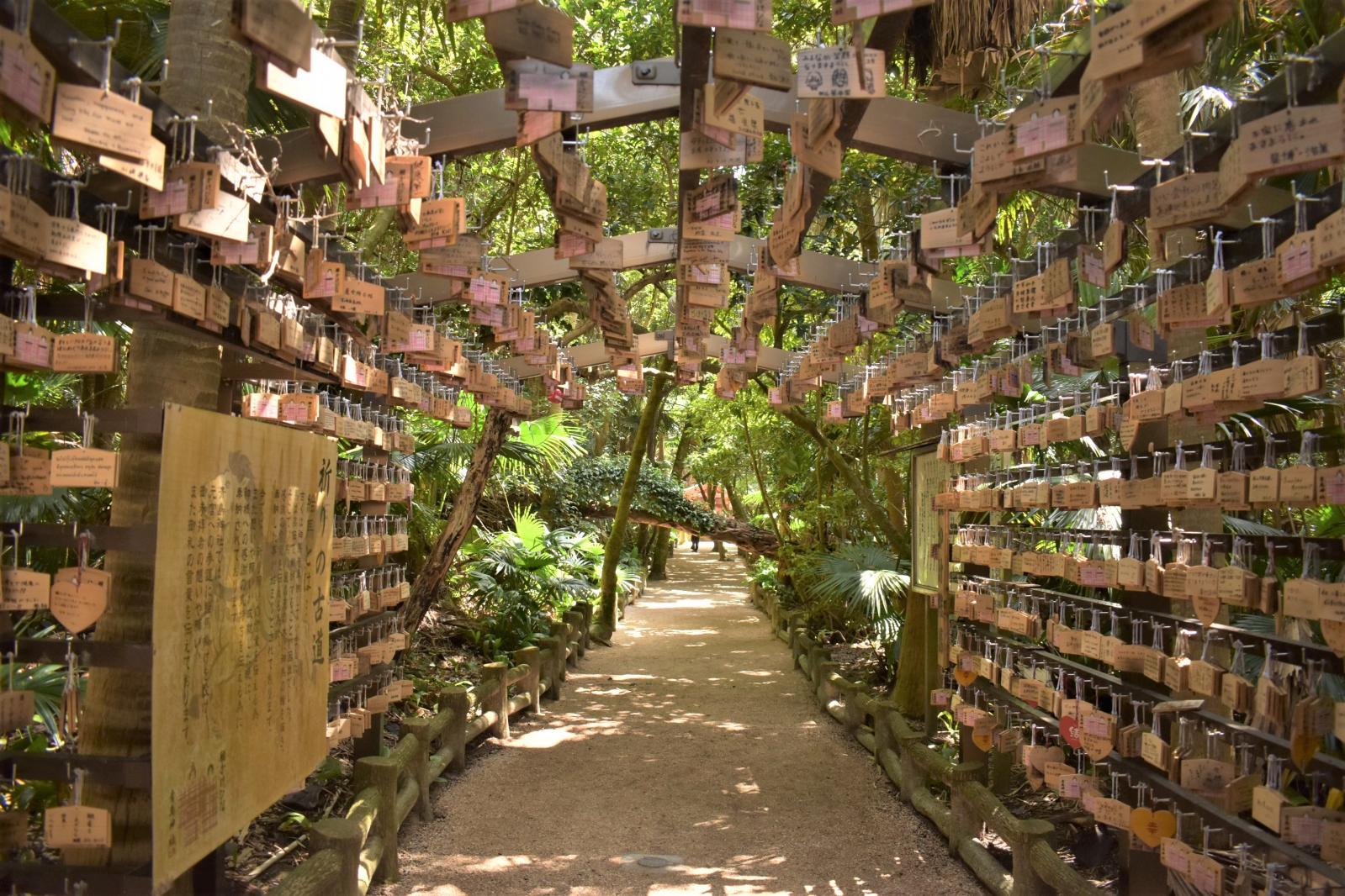 宮崎の定番観光地「青島」は写真映えスポットがたくさん！-4