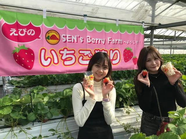 【いちご】SEN's Berry Farm（えびの市）-1