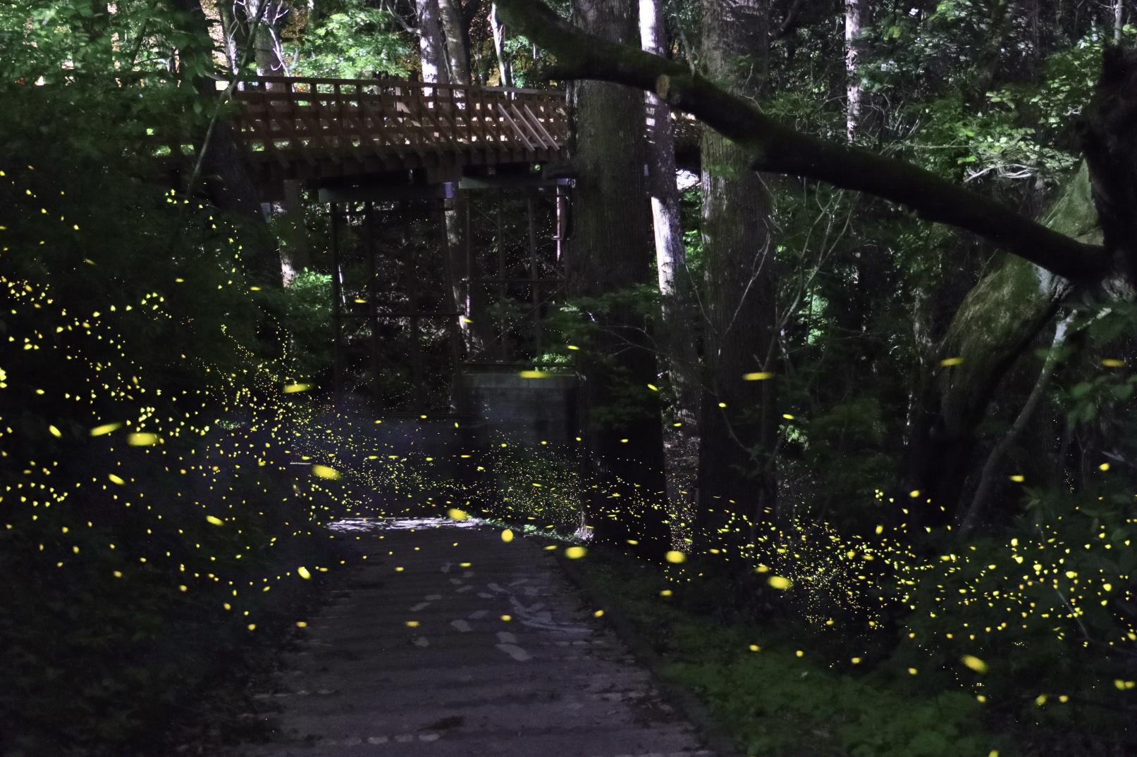 【中部エリア】県立平和台公園 せせらぎ水路（宮崎市）-1