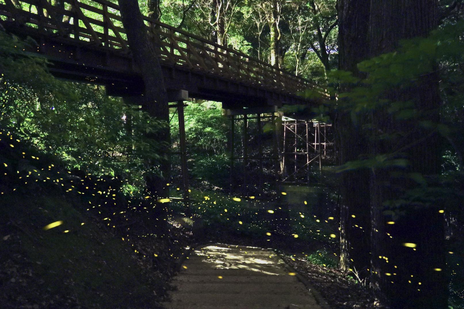 【中部エリア】県立平和台公園 せせらぎ水路（宮崎市）-0