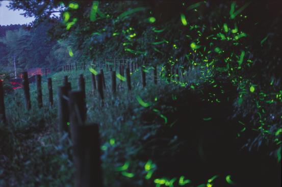 【西部エリア】出の山公園（小林市）-0