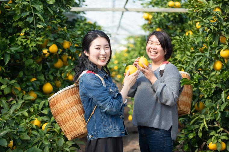 【日向夏・いちご】串間いちご畑 おにつか農園（串間市）-0