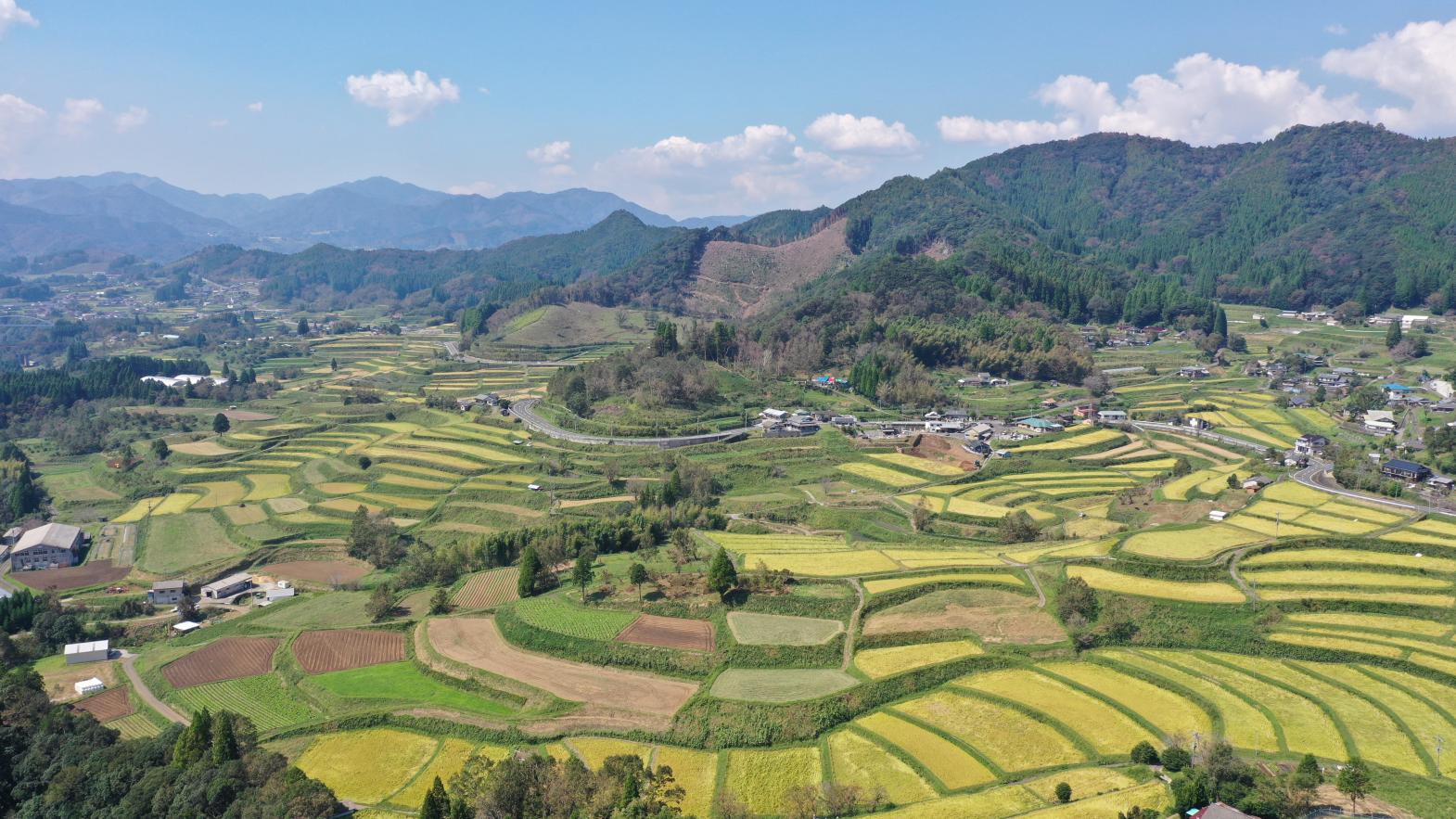Rice terraces-1