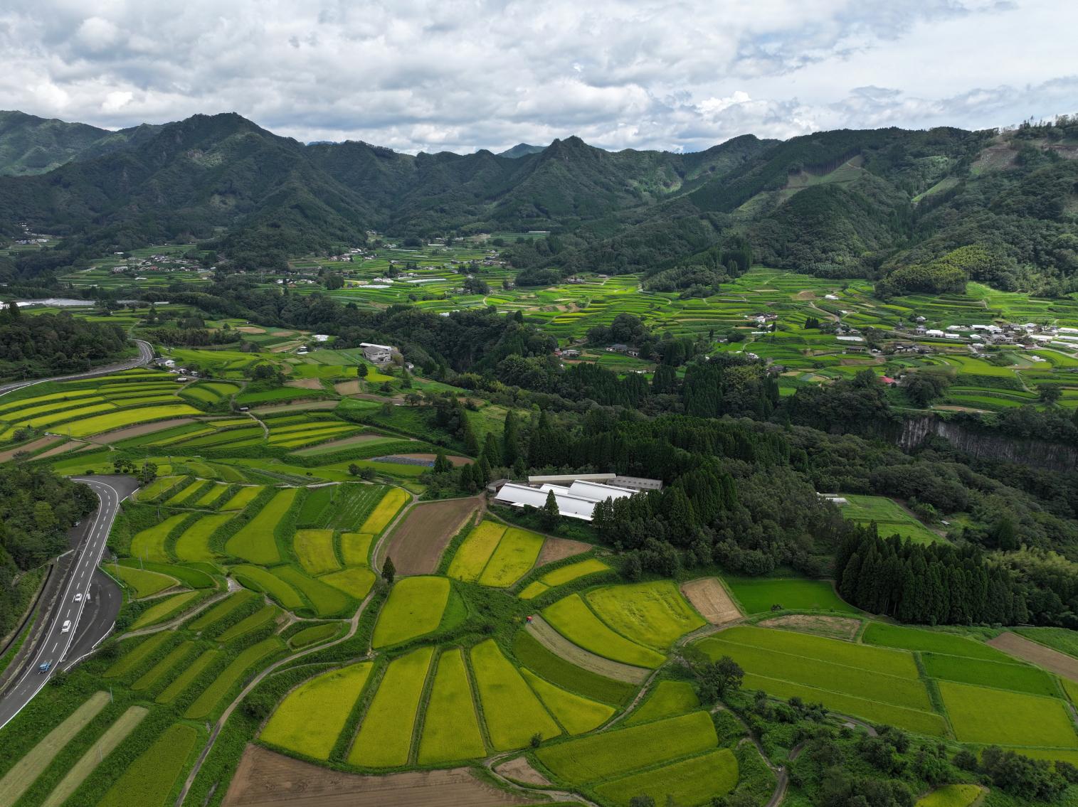 Rice terraces-5
