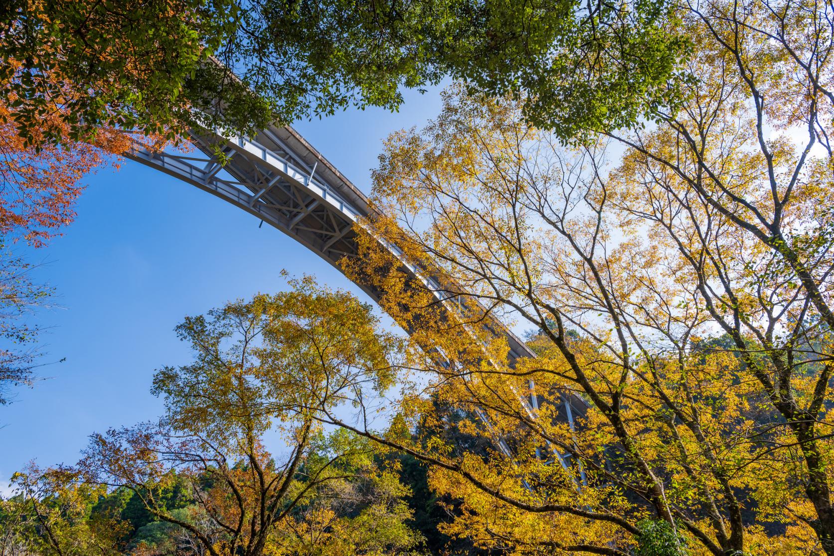 紅葉といえば「県北エリア」-3