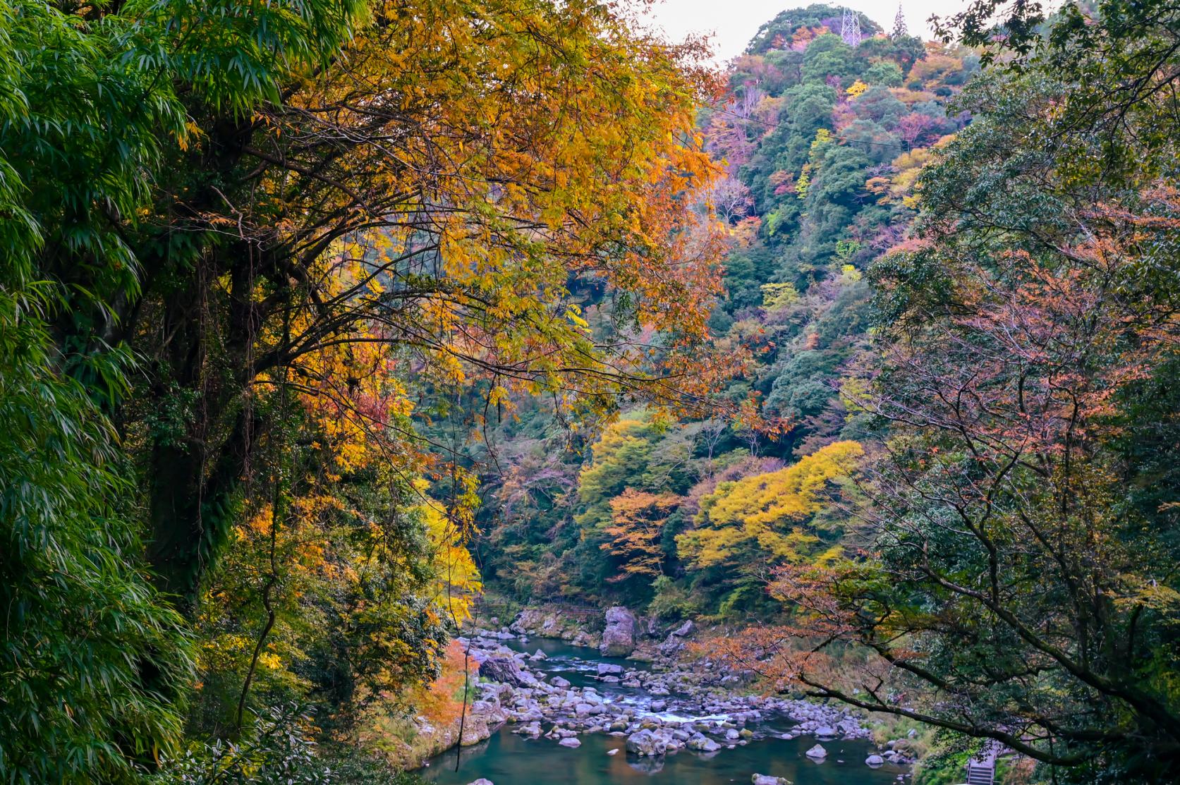 紅葉といえば「県北エリア」-1