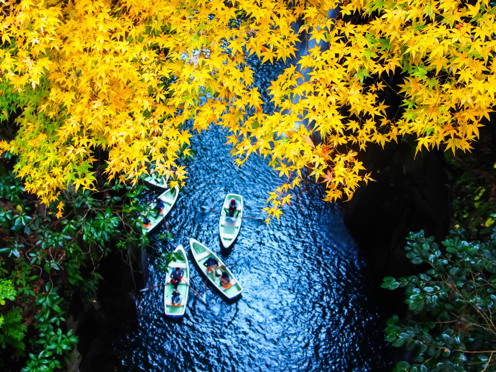 紅葉といえば「県北エリア」-5