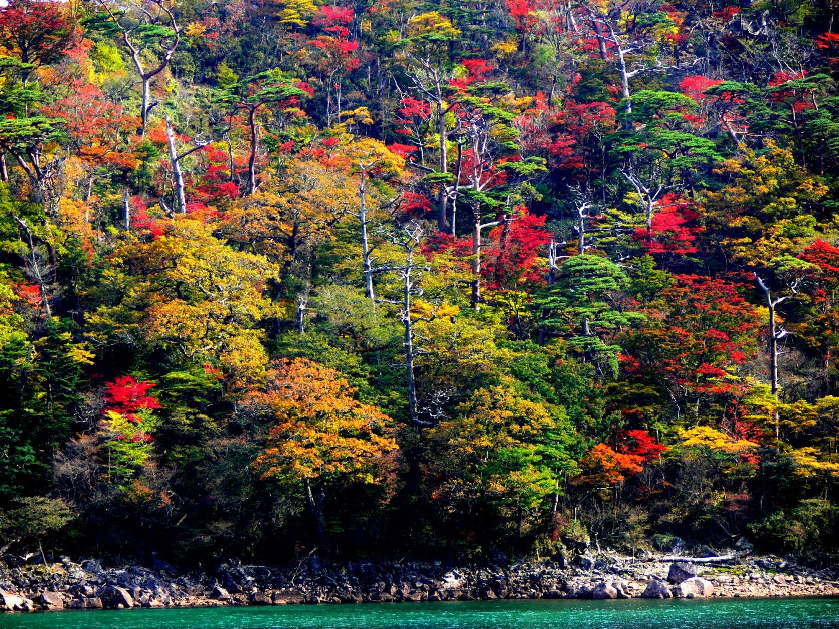 「県西エリア」でゆっくり紅葉狩り-6