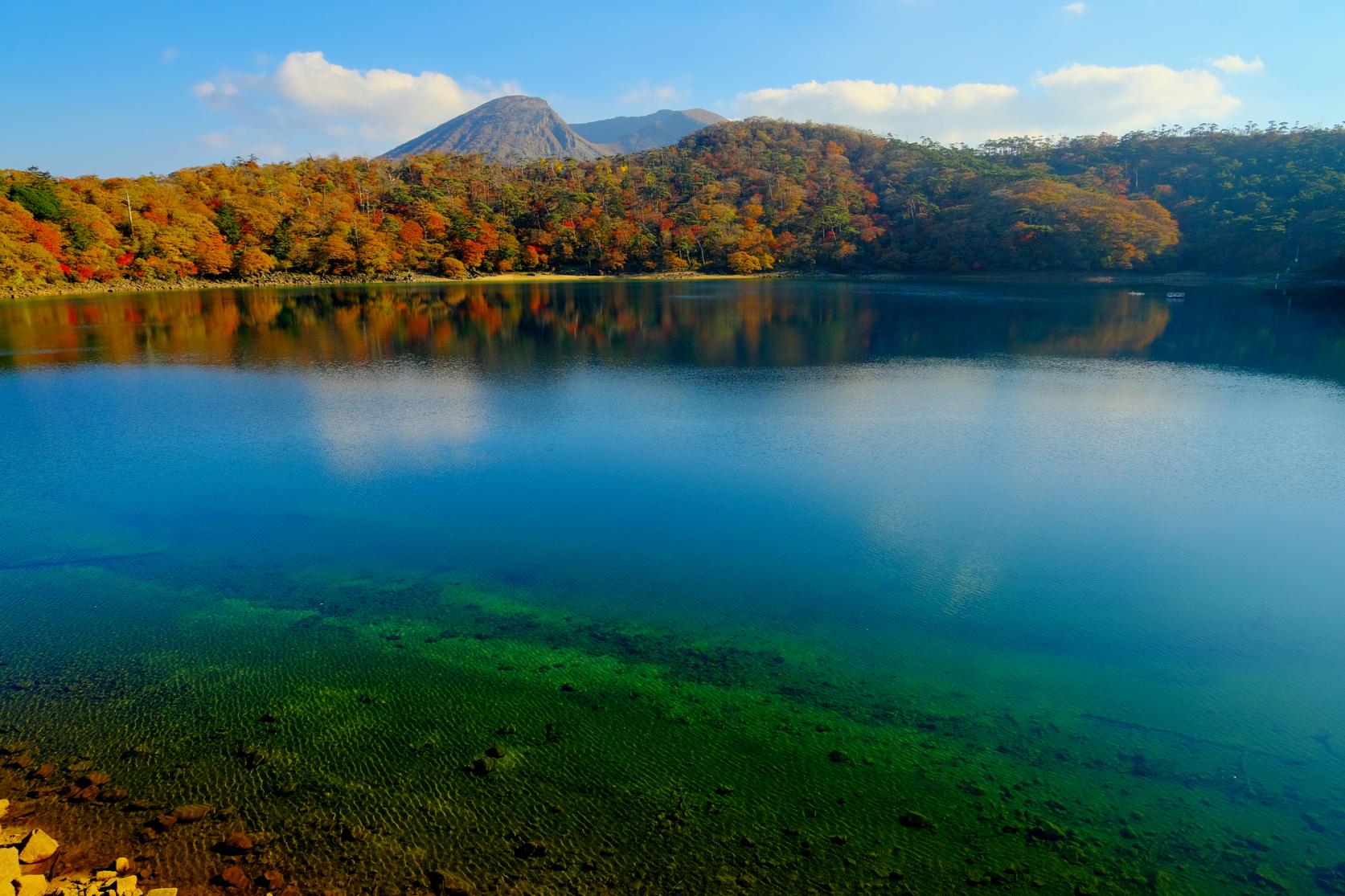 「県西エリア」でゆっくり紅葉狩り-4