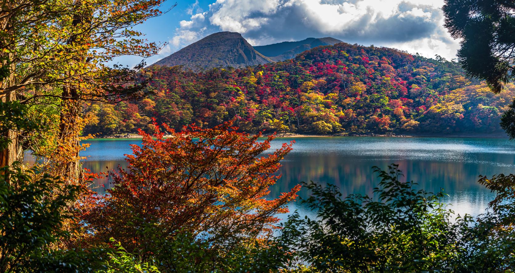 「県西エリア」でゆっくり紅葉狩り-3