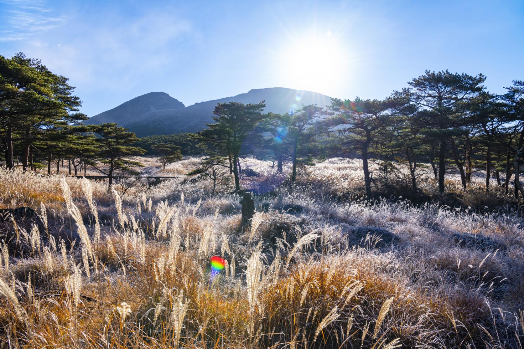 「県西エリア」でゆっくり紅葉狩り-8