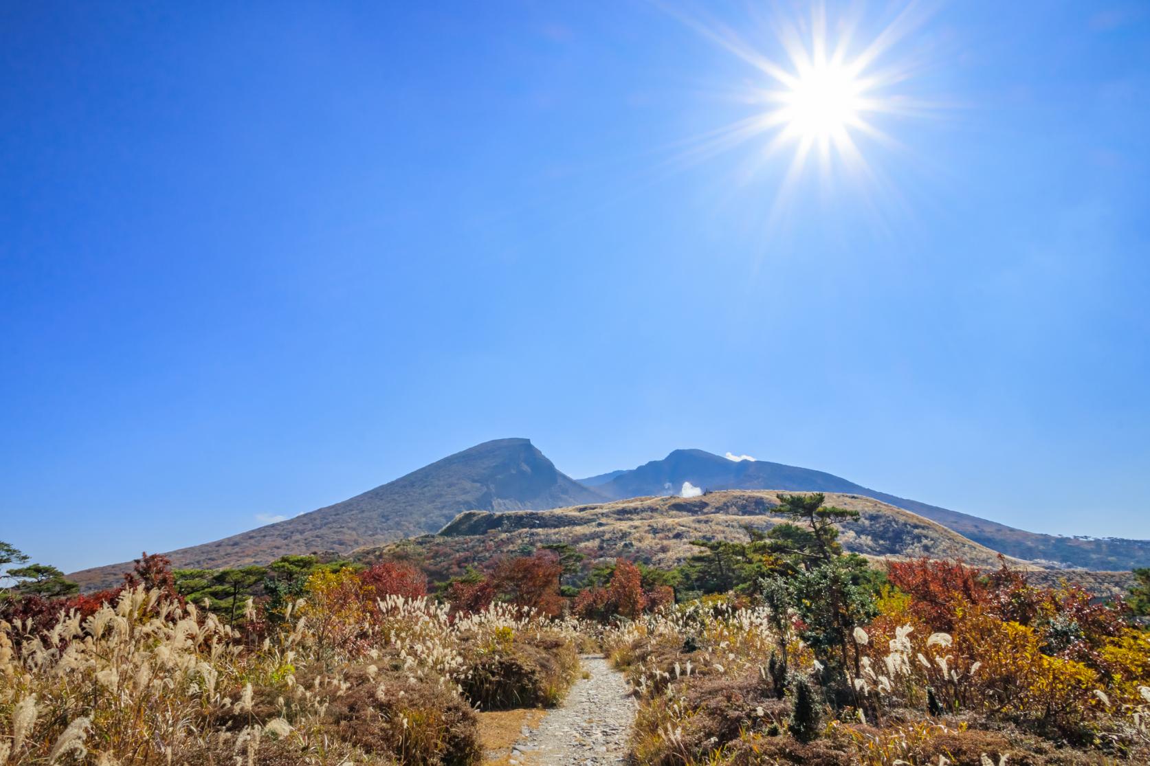 「県西エリア」でゆっくり紅葉狩り-7