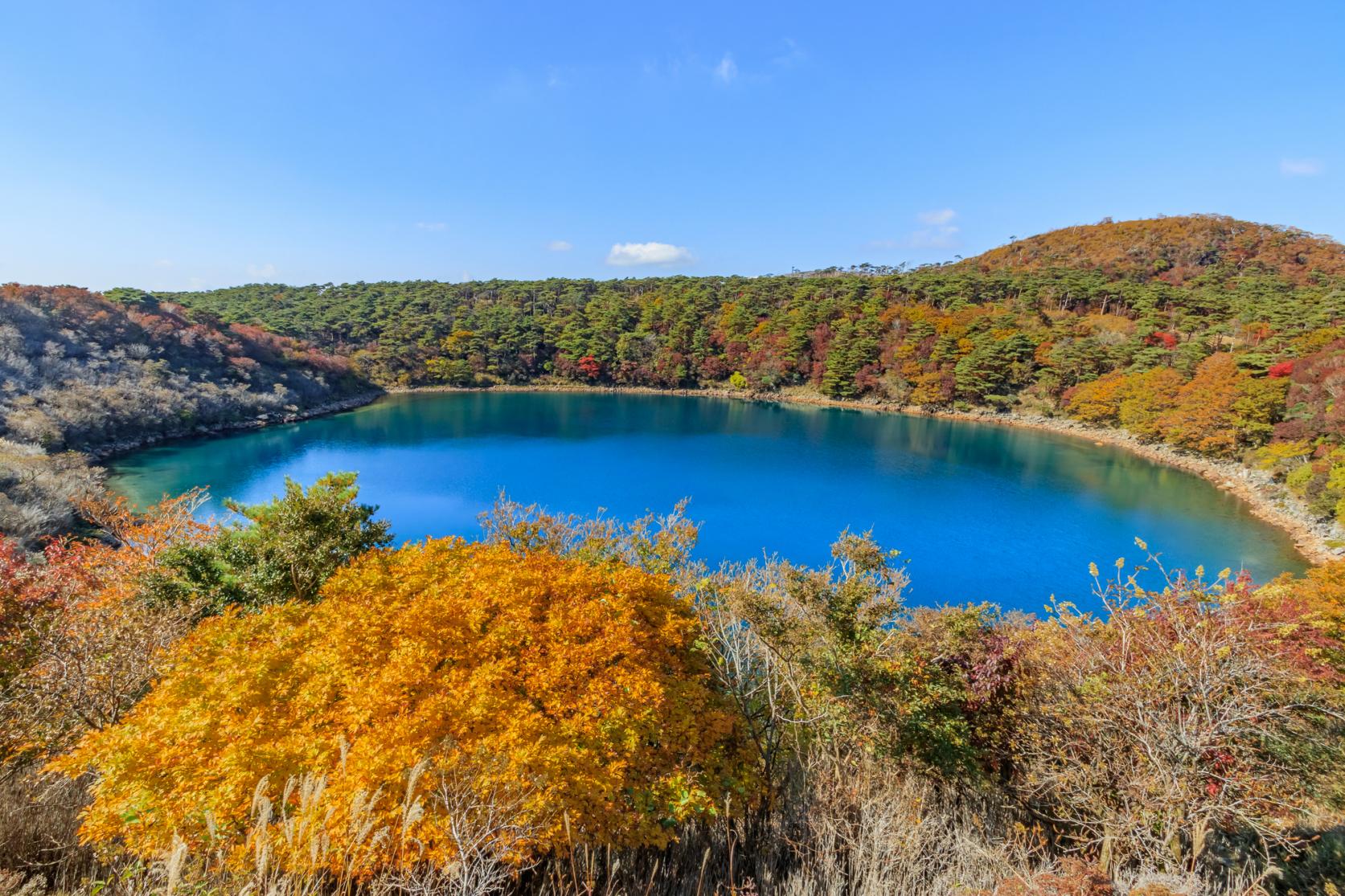 「県西エリア」でゆっくり紅葉狩り-1