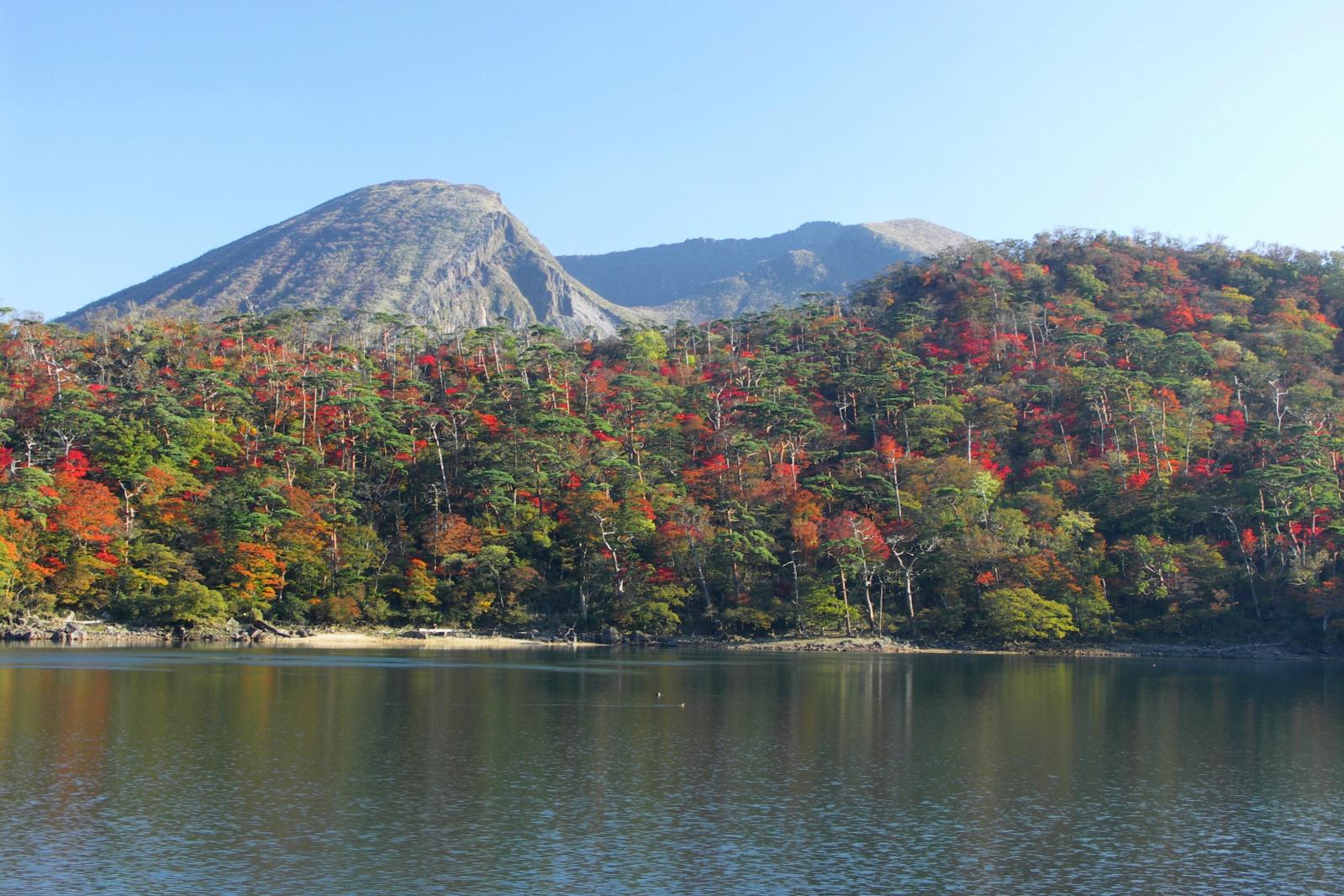 「県西エリア」でゆっくり紅葉狩り-0