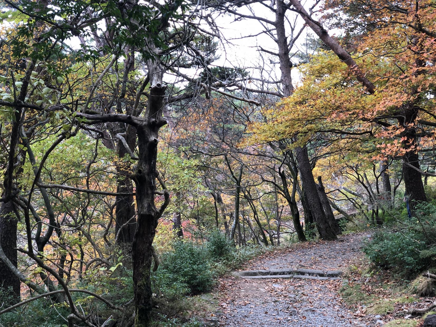 ①えびの高原-2