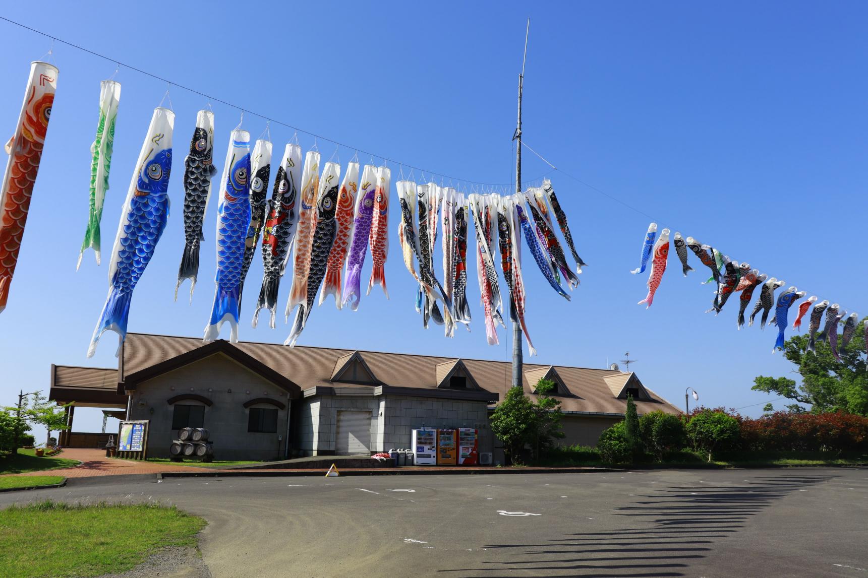 都農ワイナリーのこいのぼり（都農町）-0