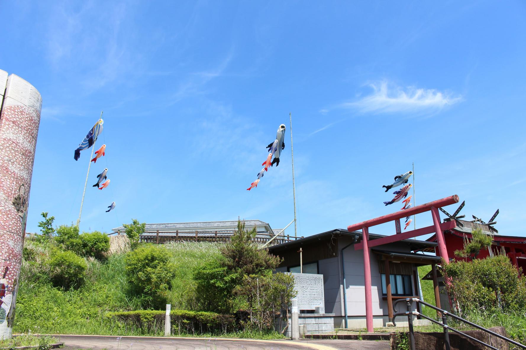 こいのぼりと泳いでいても違和感なし？大空を悠々と泳ぐ「くじらのぼり」（宮崎市）-2