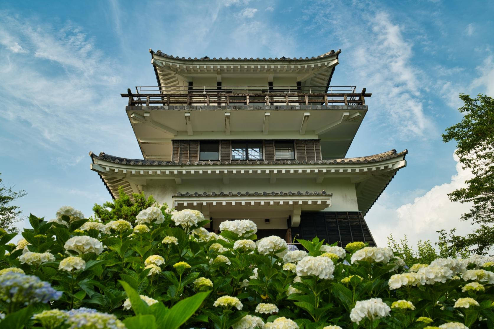 あじさい公園（都城市）-0
