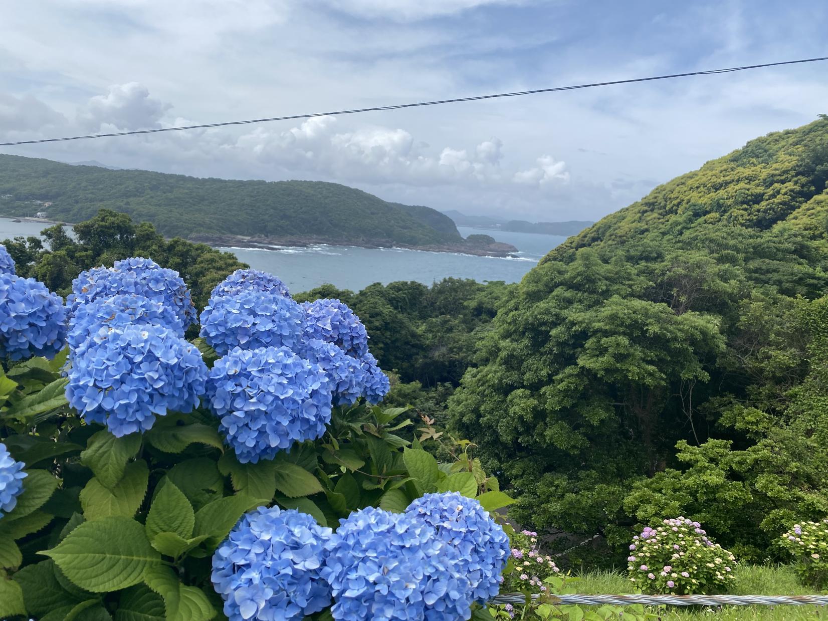 日向岬・馬ヶ背（日向市）-1