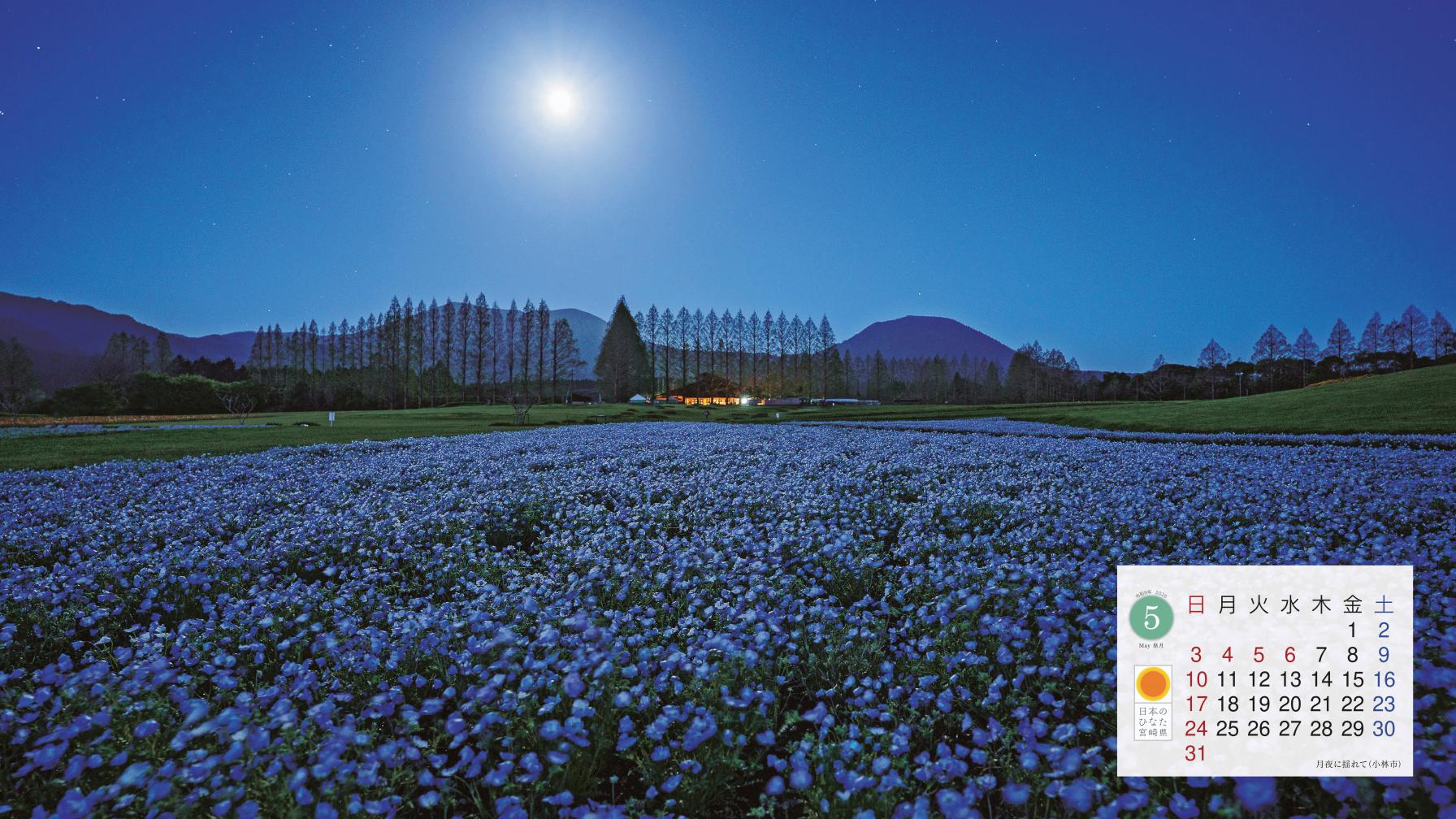 PC用壁紙ダウンロード-4