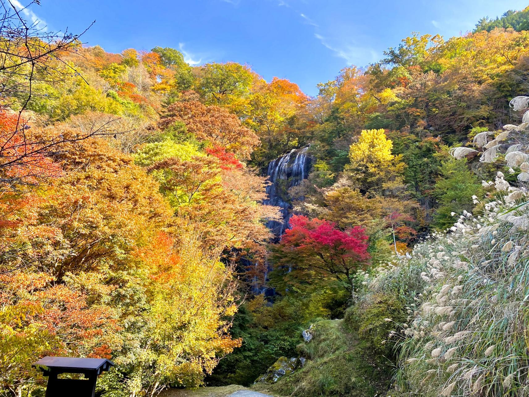 宮崎の秋を満喫！おすすめ紅葉モデルコース3選-3