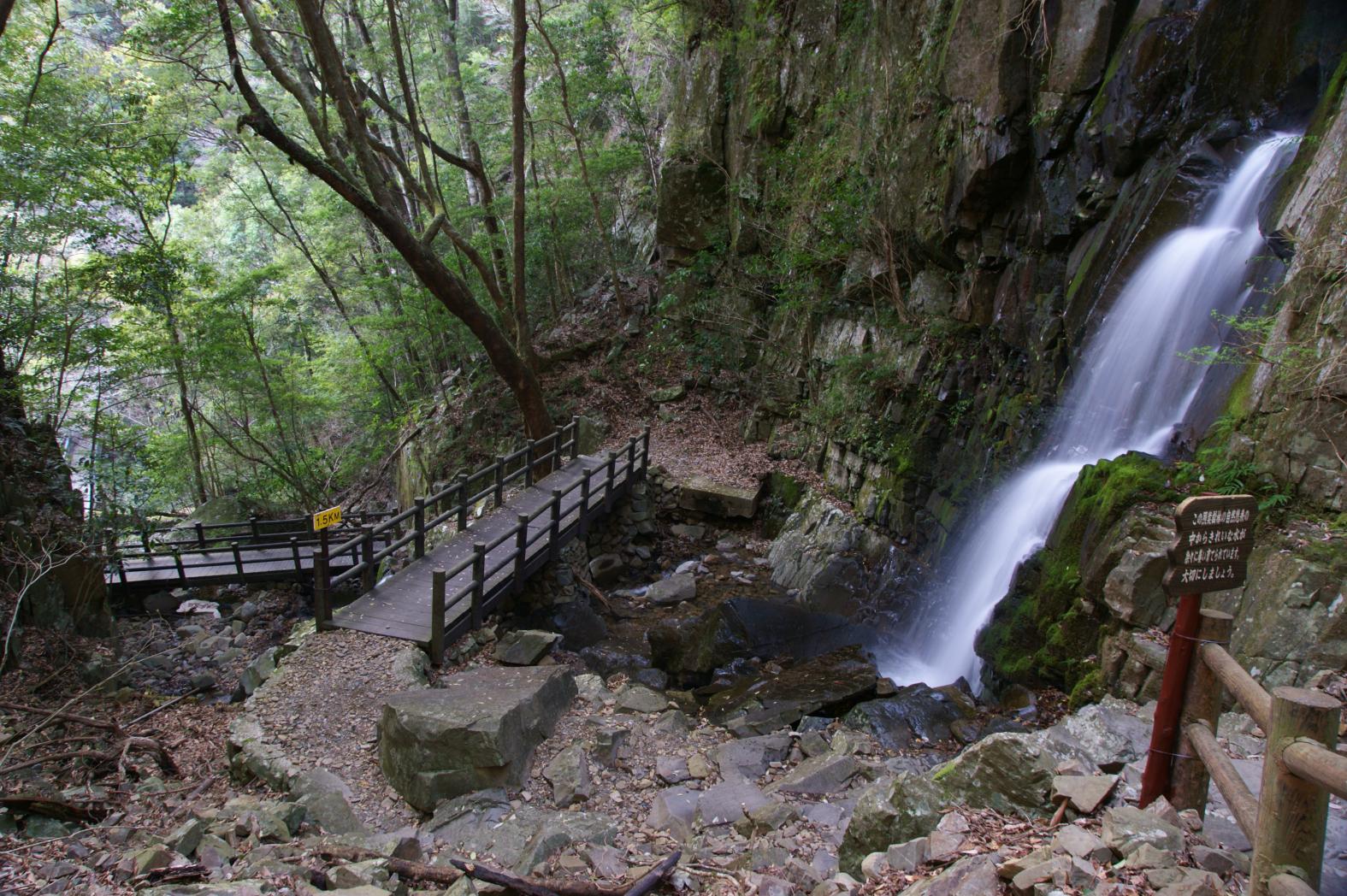 ⑤綾の照葉大吊橋 自然遊歩道-2