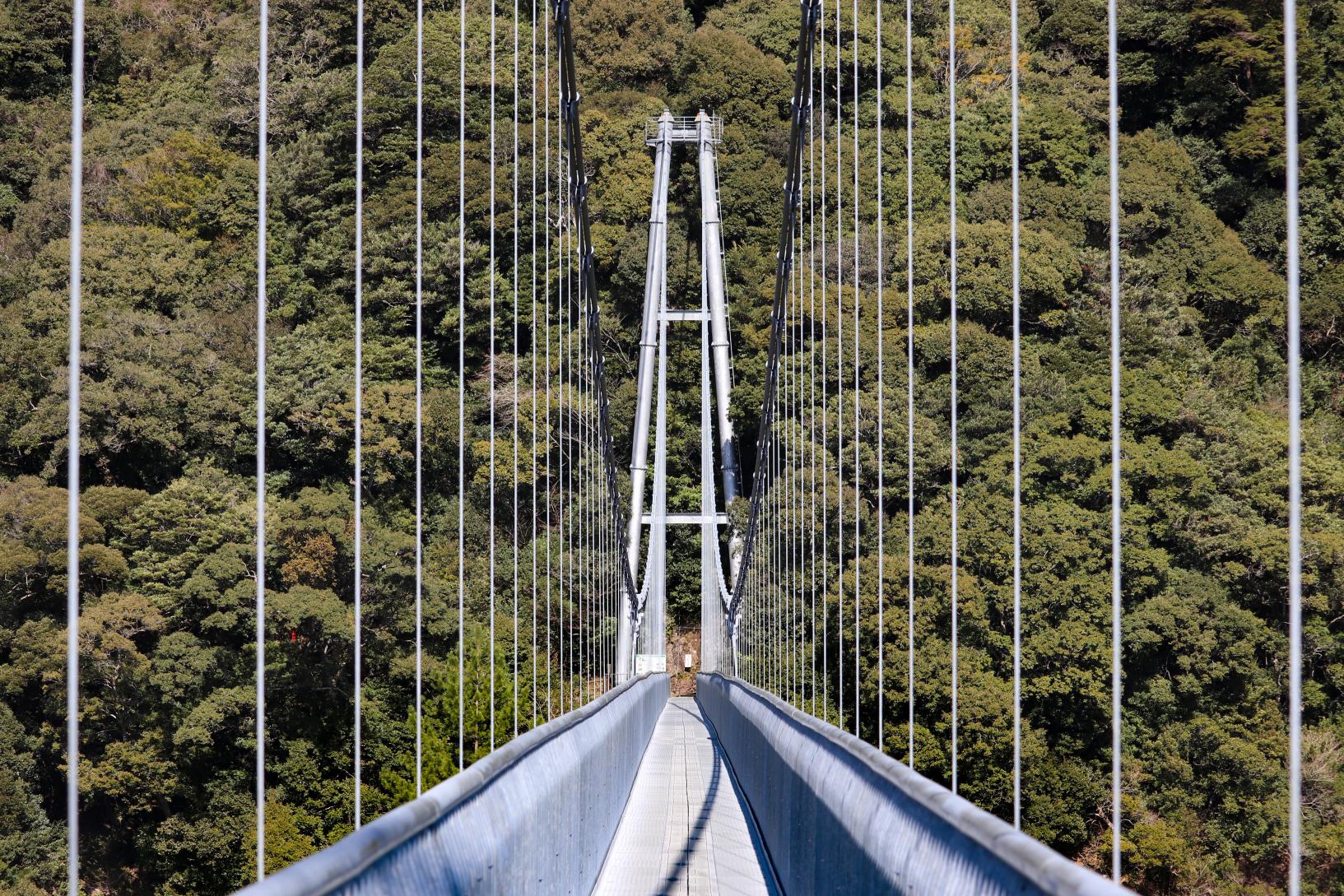 ⑤綾の照葉大吊橋 自然遊歩道-0