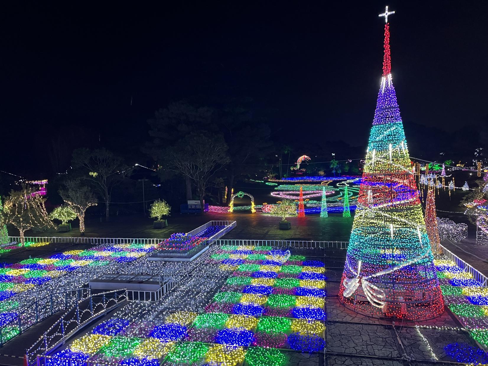 イルミネーション・フラワーガーデン2025（宮崎市）-1