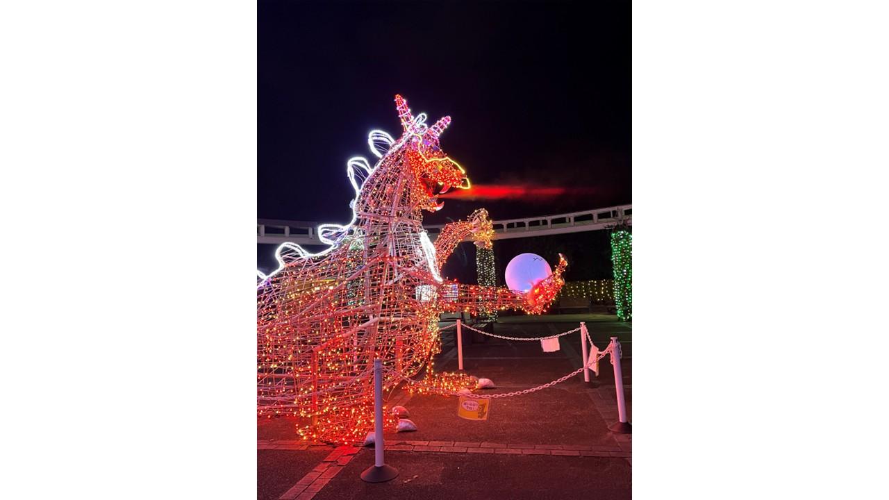 イルミネーション・フラワーガーデン2025（宮崎市）-3