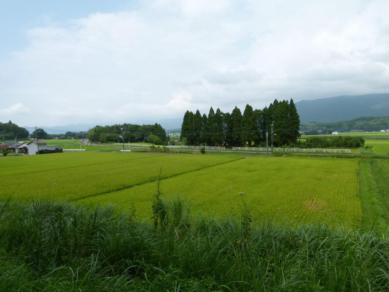 築100年以上の古民家「里山・北樹園」-3