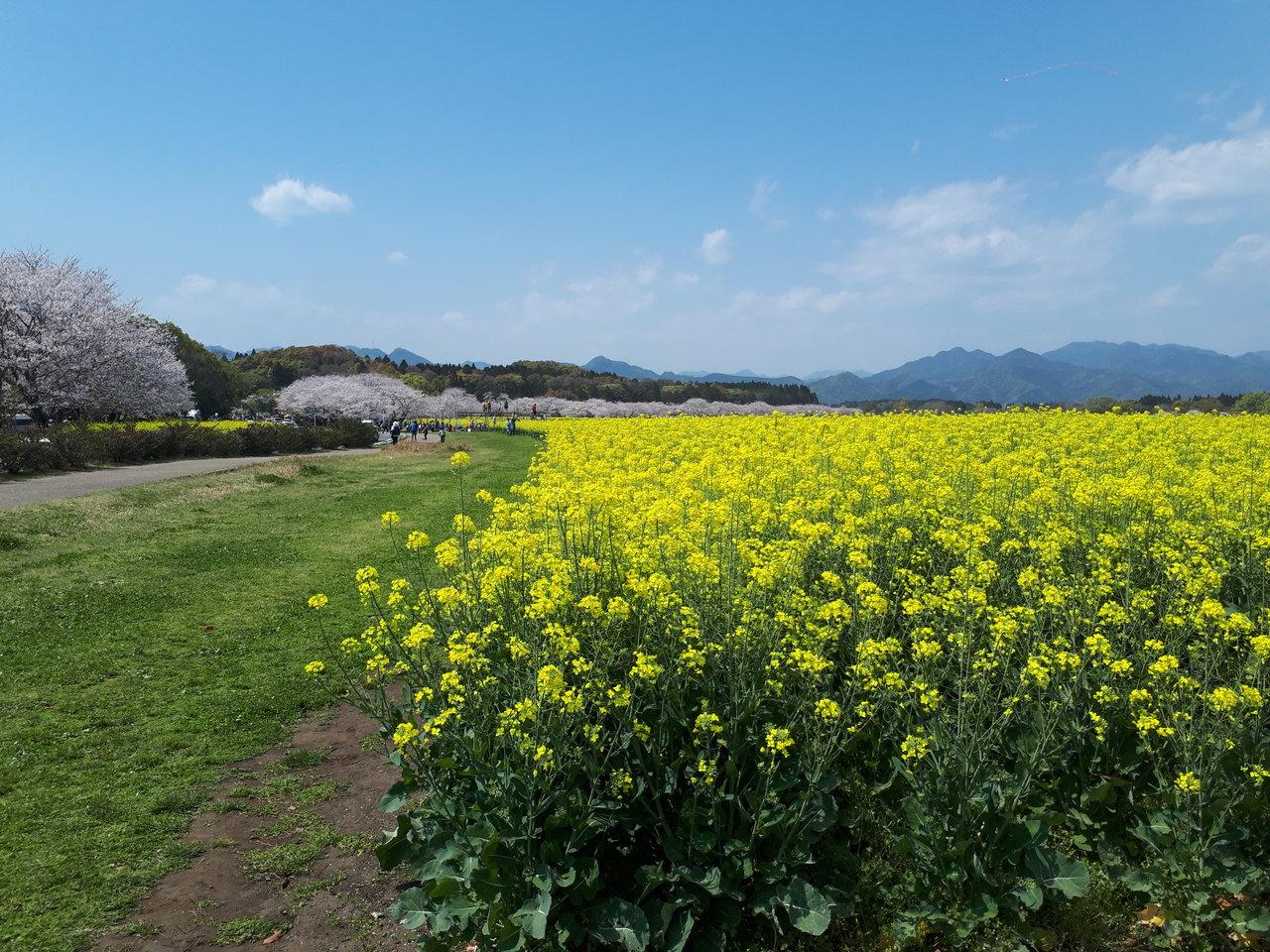 茶室も備えた実家のような古民家「都ノ関」-2