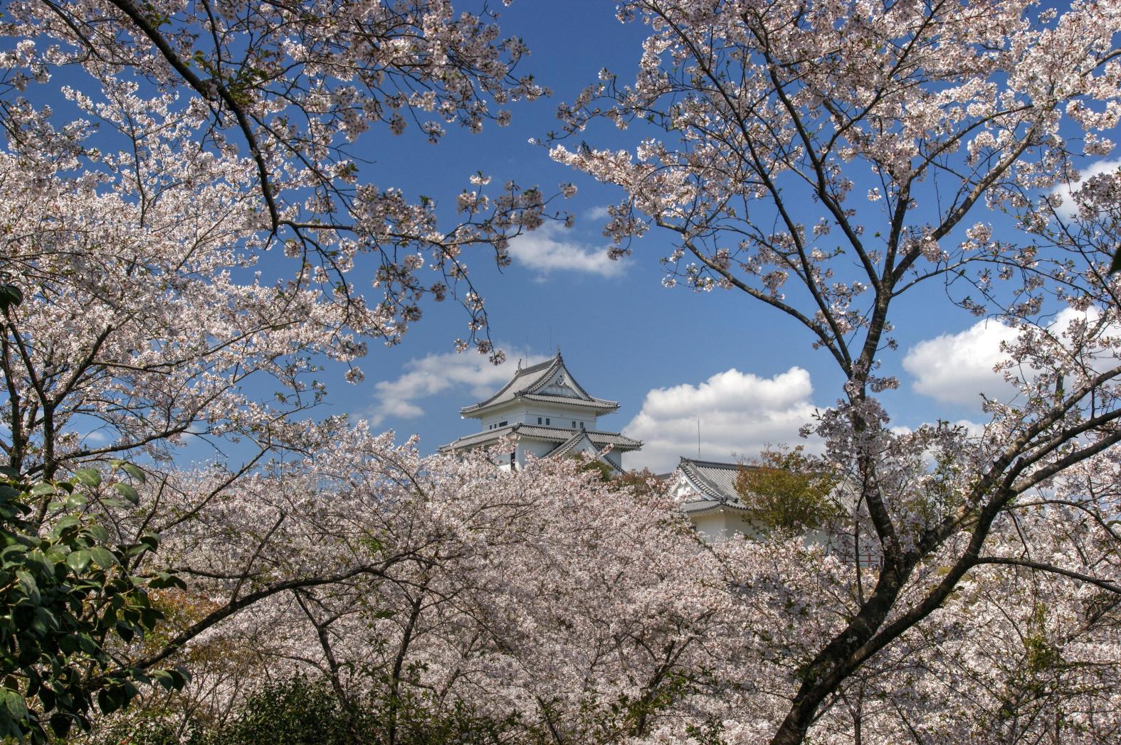Amagajo Park (天ヶ城公園) - Miyazaki City-0