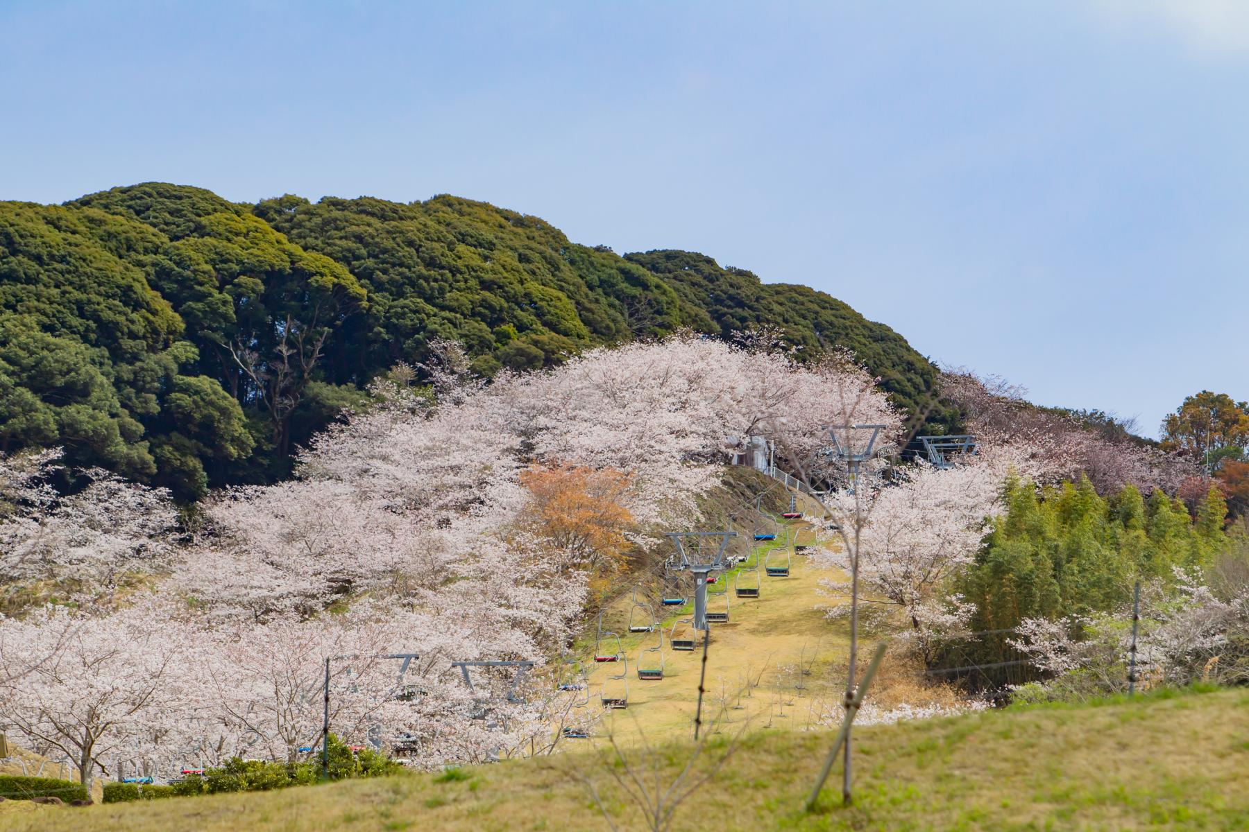 Kannonike Park (観音池公園) - Miyakonojo City-0