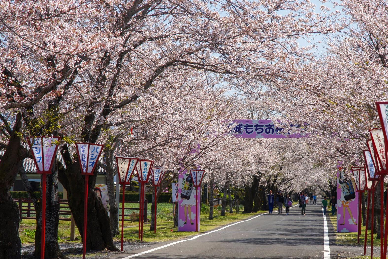 Mochio Park (母智丘公園) - Miyakonojo City-0