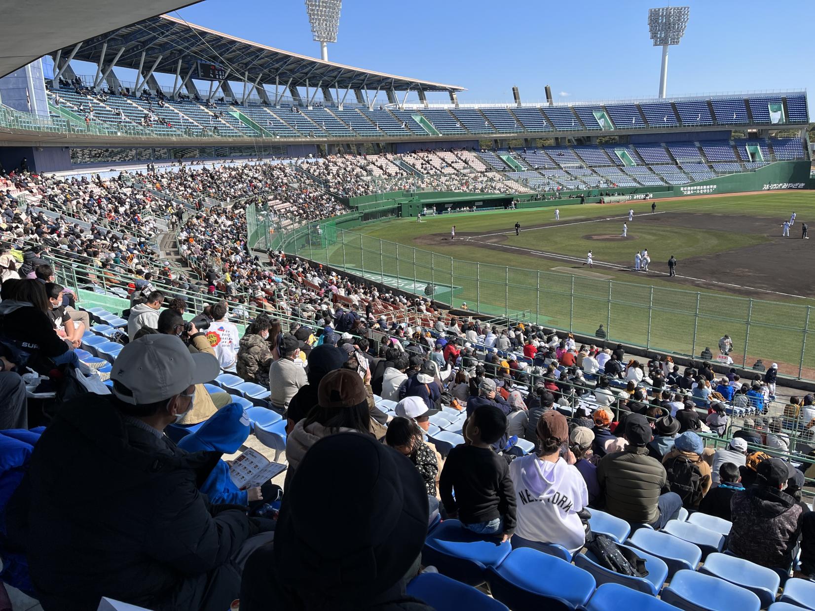 プロ野球キャンプ情報 2025-0