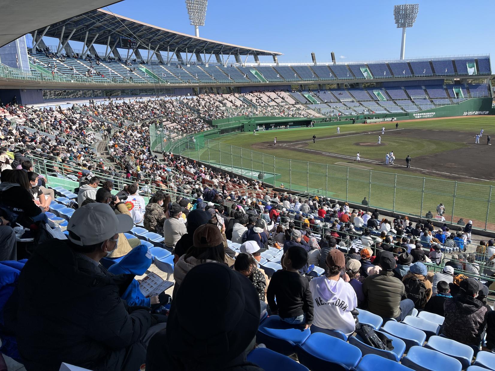 プロ野球キャンプ情報 2024-0