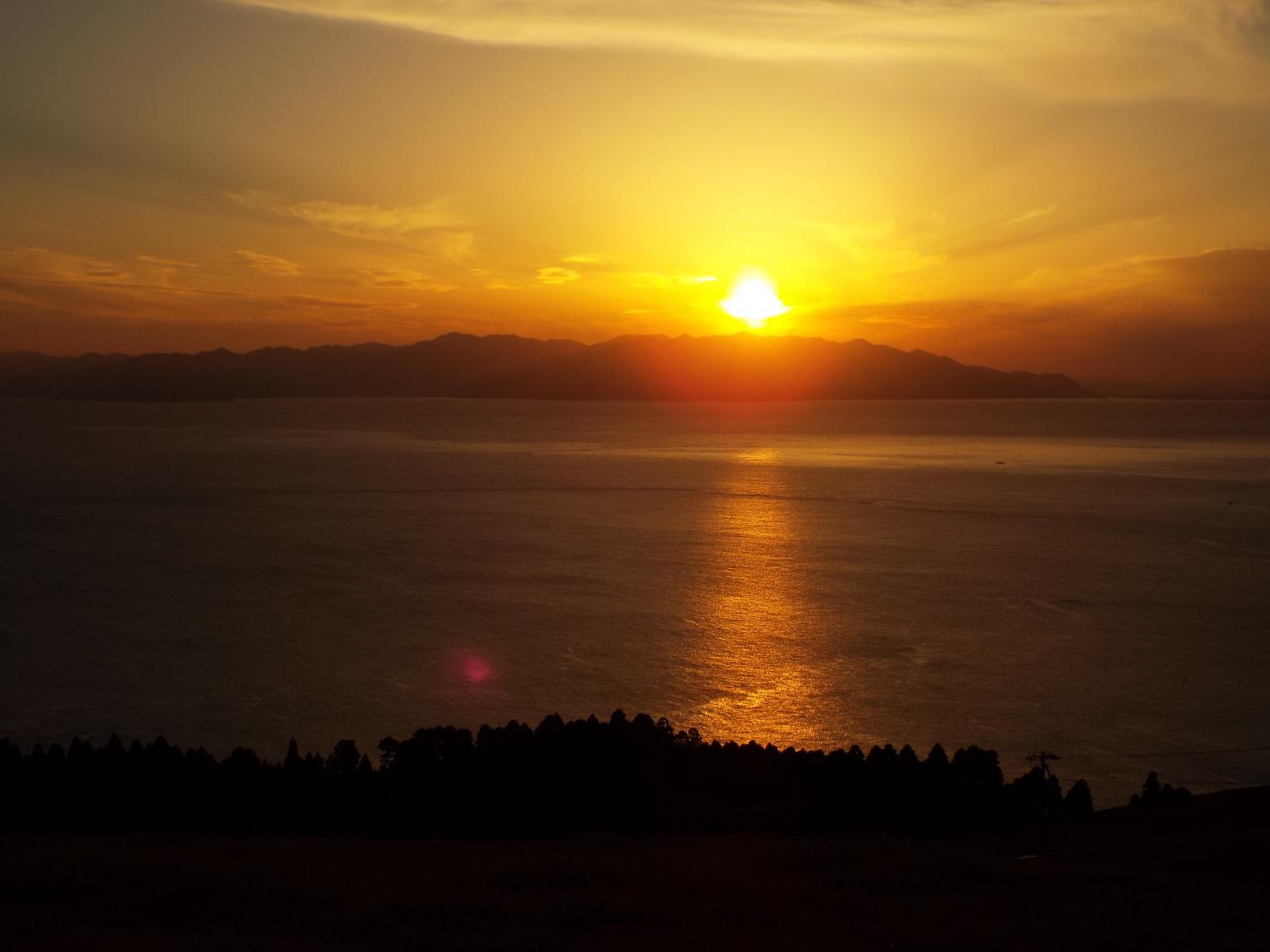 8.ようこそ、野生馬の聖地へ｜都井岬を10倍楽しむ小ネタ＆トリビア集-5