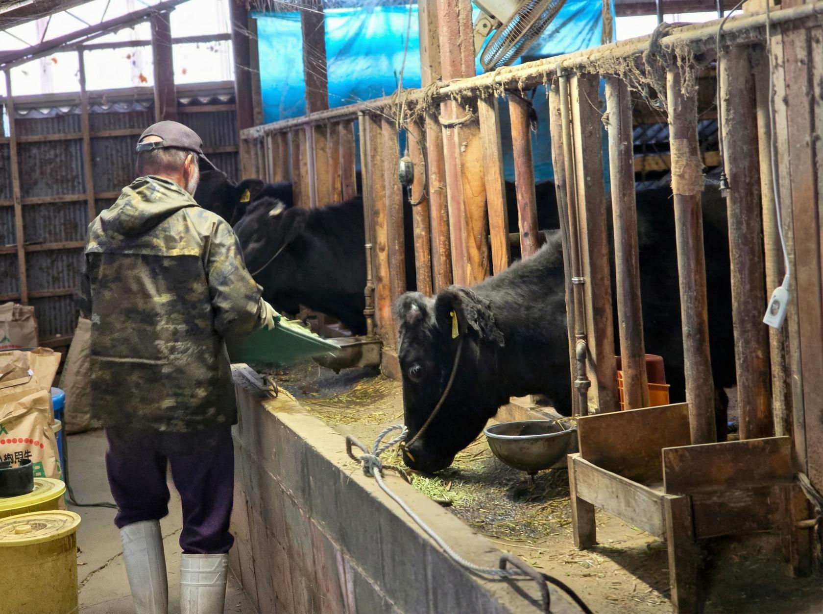 神を舞う農家の素顔。夜には神の依代に-2
