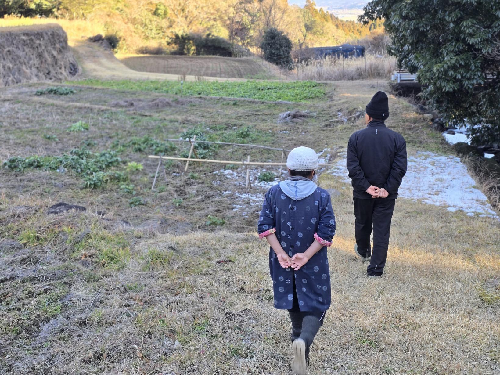 【体験レポート】畑散策と本格そば打ち体験-0