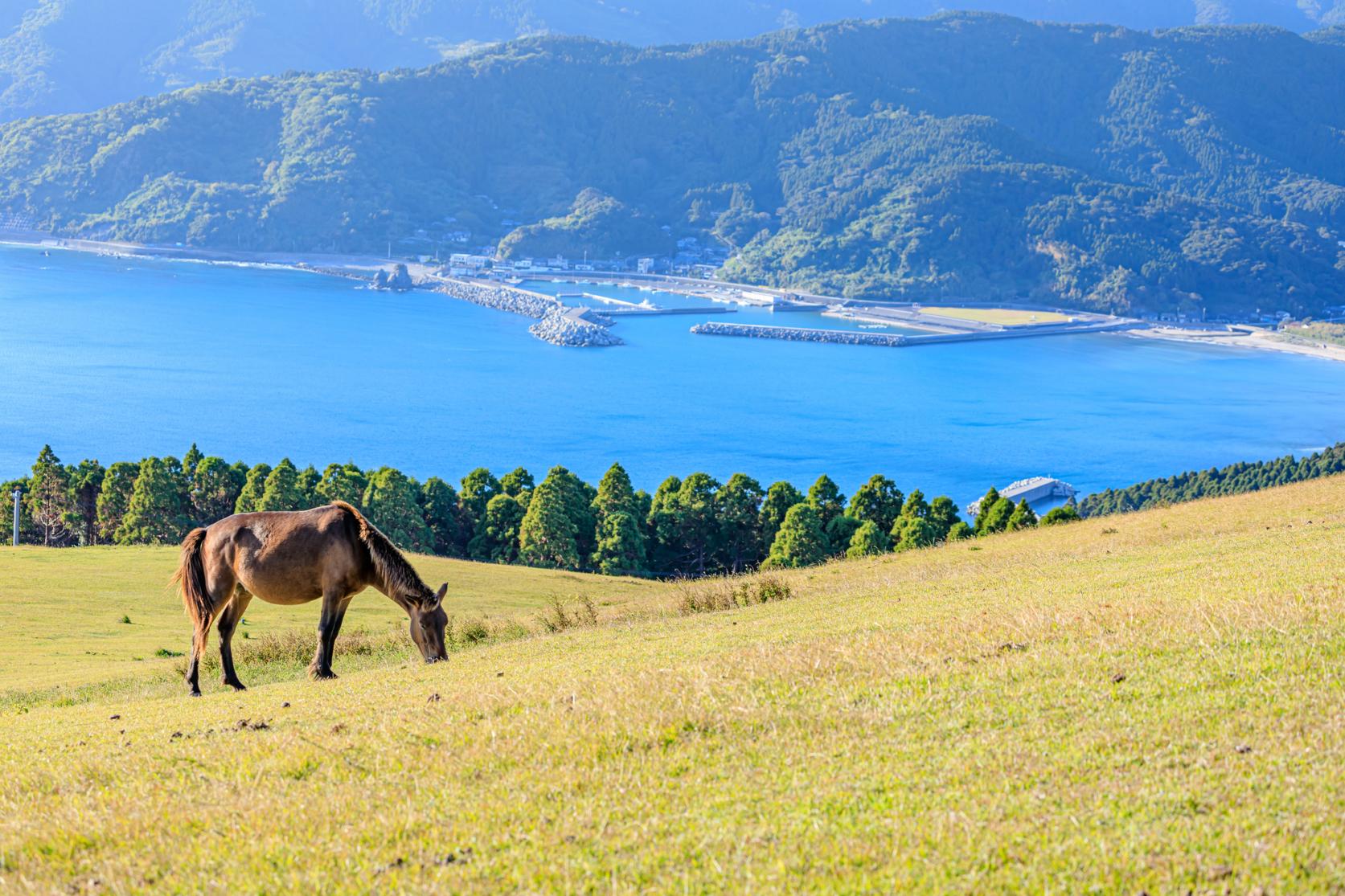 旅の始まりは串間の海から-0
