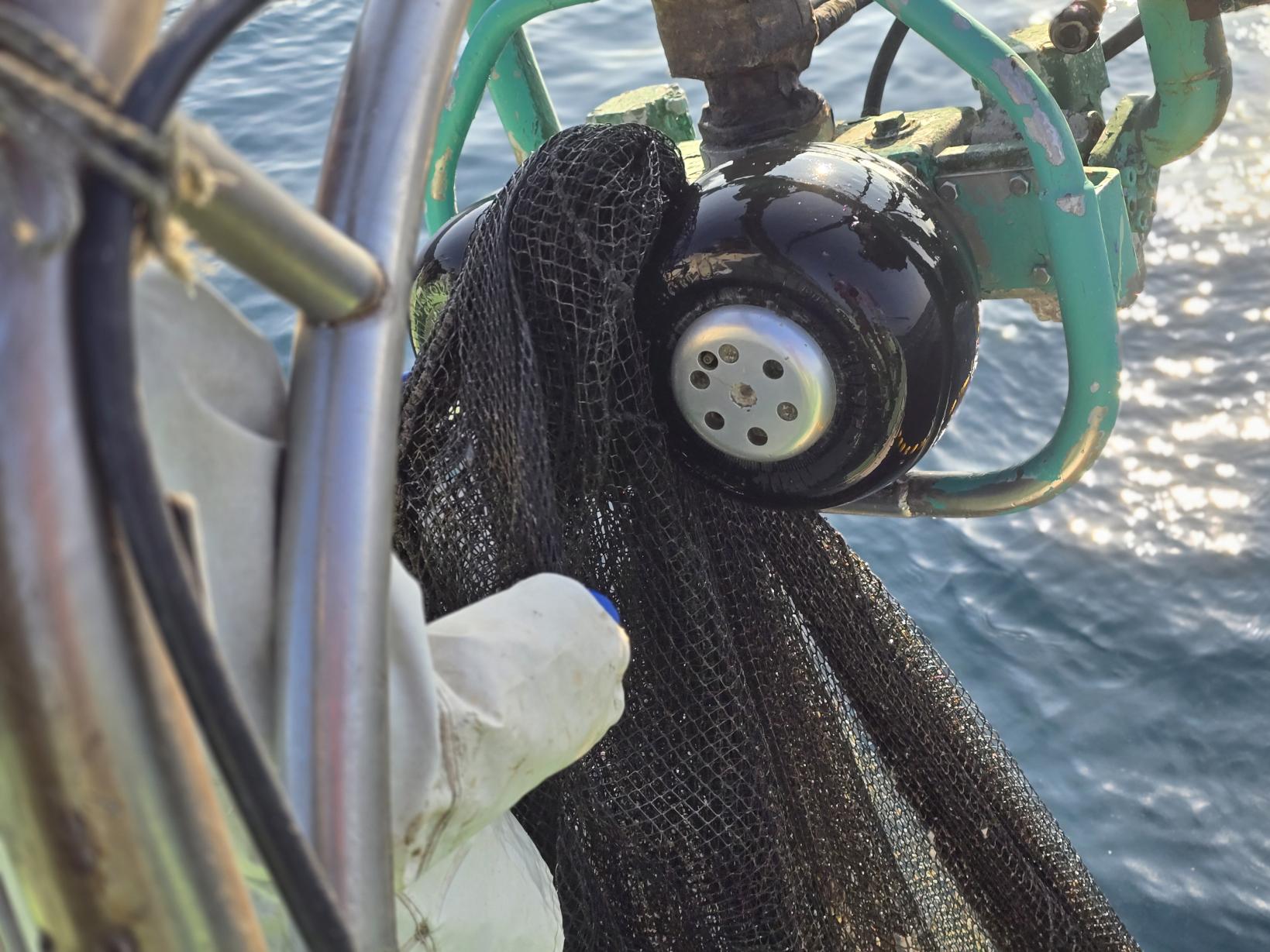 みんなで力を合わせて！網の引き上げ体験-2