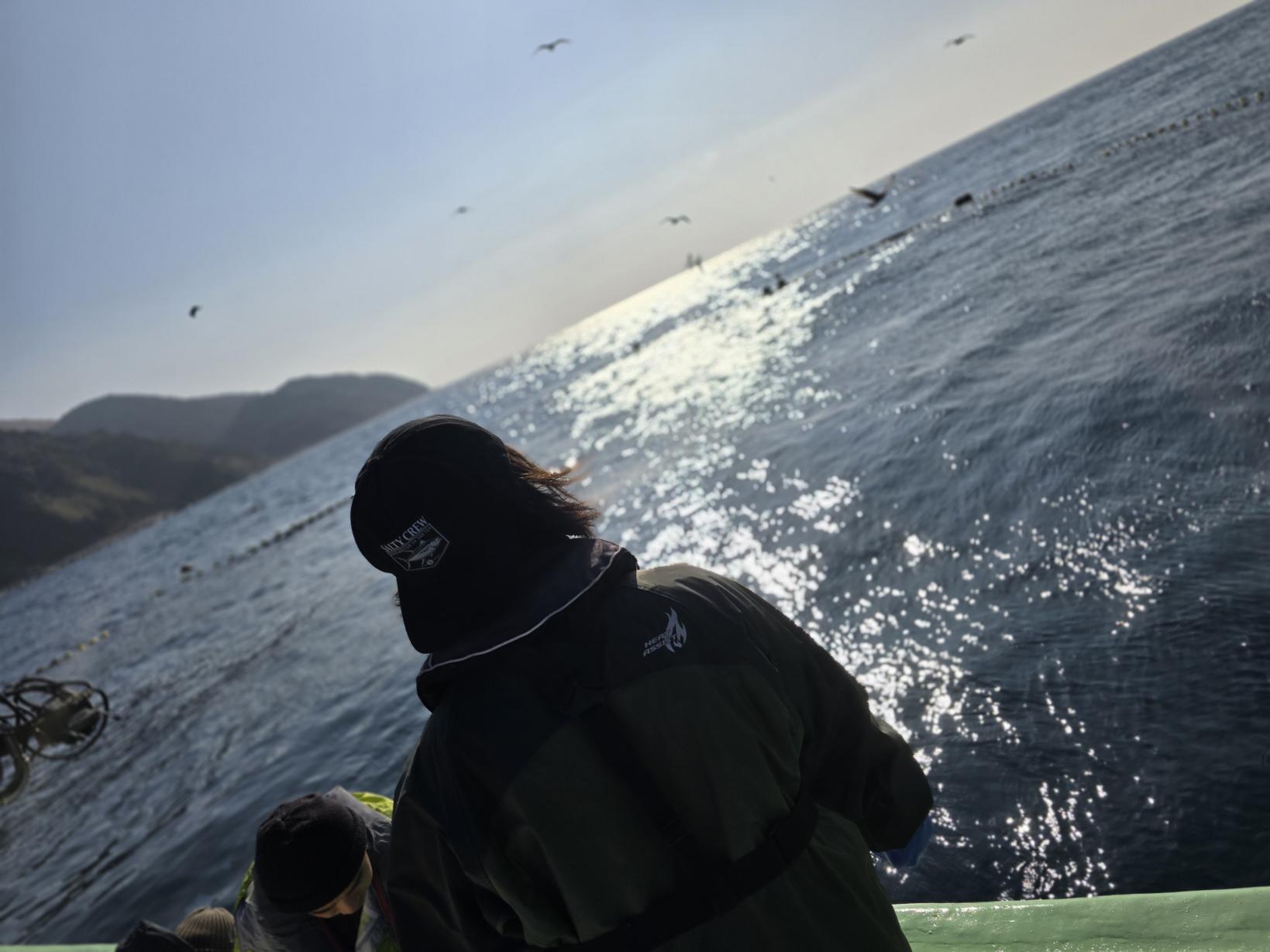 港へ帰還、海鳥たちのお見送り-1