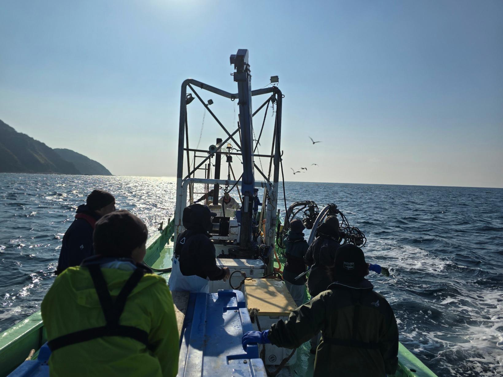 港へ帰還、海鳥たちのお見送り-0