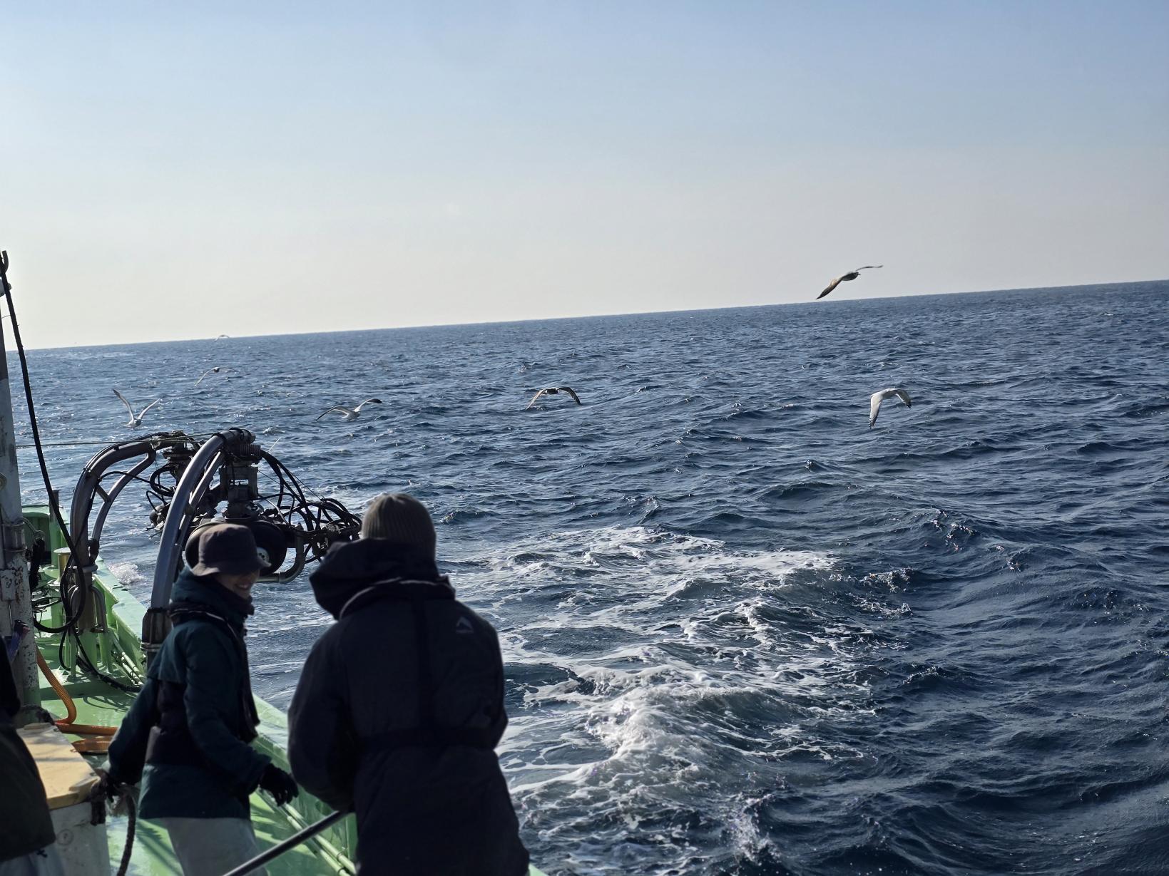 港へ帰還、海鳥たちのお見送り-2