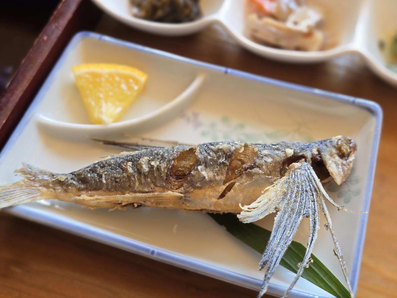 衝撃の食感！「おまかせ漁師定食」-1